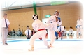 2013.03.03_karate.jpg