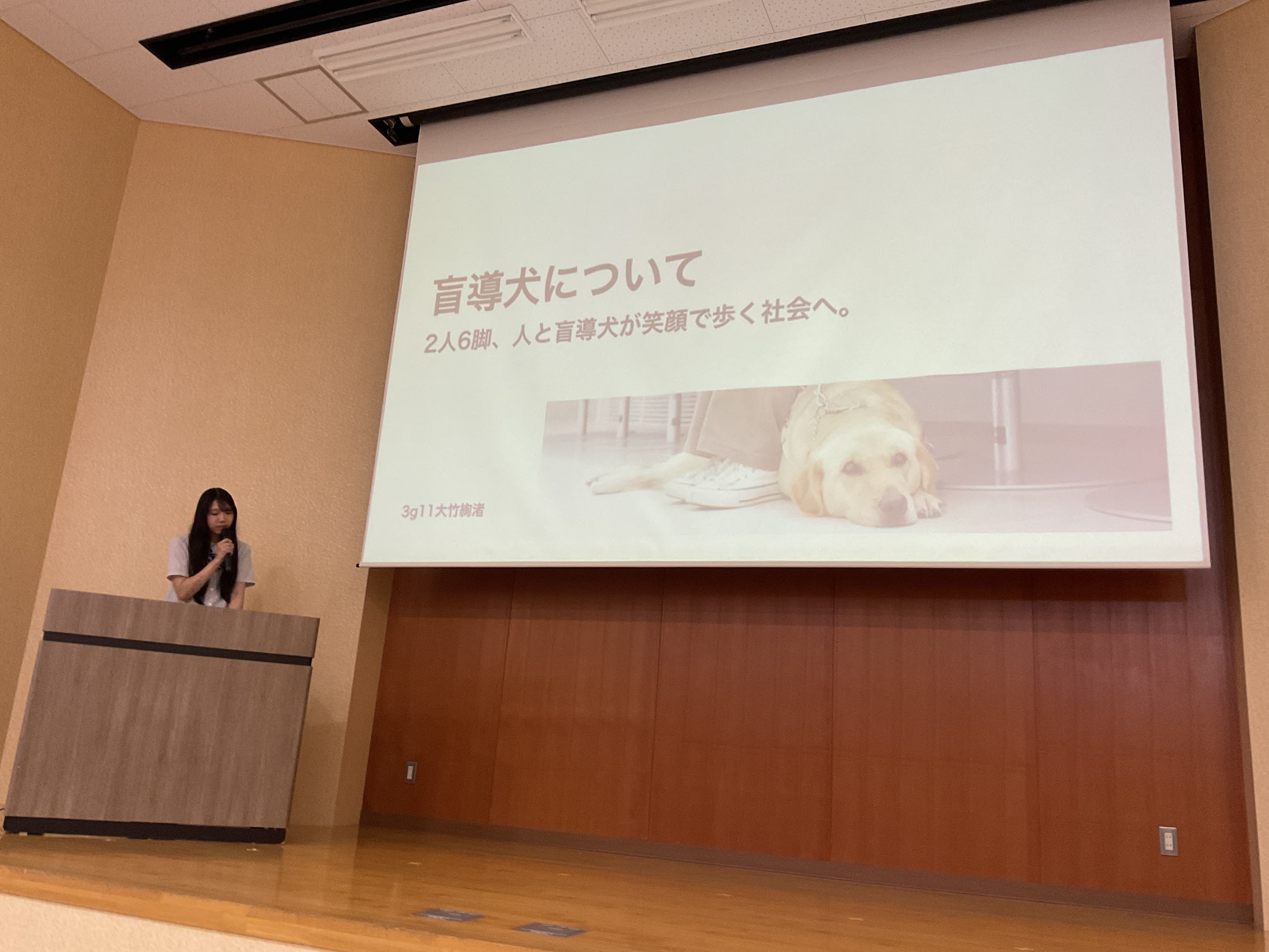 https://www2.shoshi.ed.jp/news/20250731005.jpg